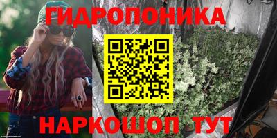 apvp Краснознаменск