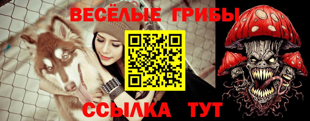 Псилоцибиновые грибы Psilocybine cubensis Ишимбай