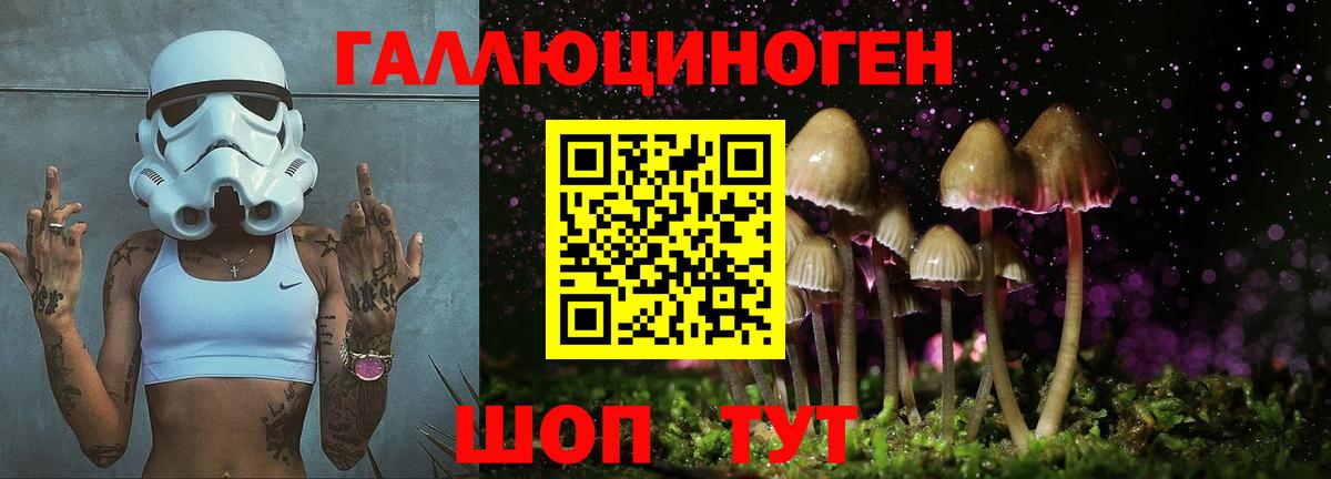 Ишимбай  Псилоцибиновые грибы мицелий  Вход с VPN 